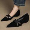 Fashion Hot Selling, Simple and High-quality Single Shoes Women's Spring 2025 New Elegant Pointed Toe Low Cut Thick Heel High Heels