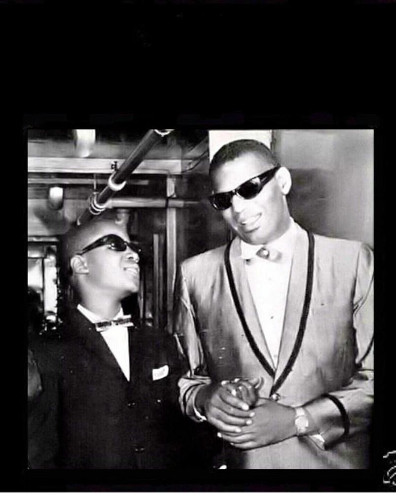 Ray Charles and Stevie Wonder T Shirt black Unisex All sizes XZ1080 Unisex T-Shirt XXL