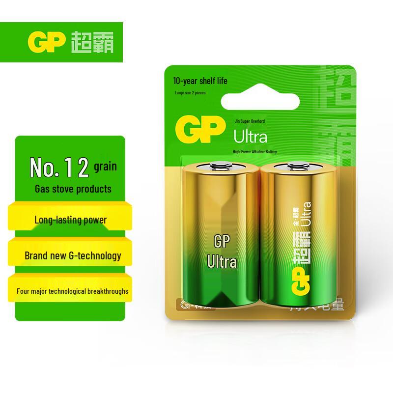 GP D Size 1.5V Alkaline Batteries (2-Pack) CN plug (adapter included)