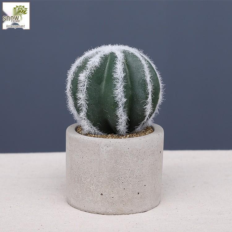 Oulifei Premium Artificial Tropical Succulent Cactus Bonsai for Home Decor