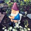 3D Garden Gnome Elf Doll Decor Landscape Figurines Decoration Courtyard Resin Sculpture Crafts Toilet Play Phone Dwarf Statue