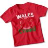 Welsh Kids Rugby Football Supporter Top St Davids Day Wales Cymru Shirt