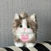 Kawaii Twisty Stick Little Cat Pendant Plush Kitten Pendant Material Package  Girls Children Toys