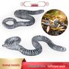 Animal Model Toy: Caecilian, Naked Snake, Chameleon, Lizard, Squirrel, Hedgehog - Educational Cognitive Ornament