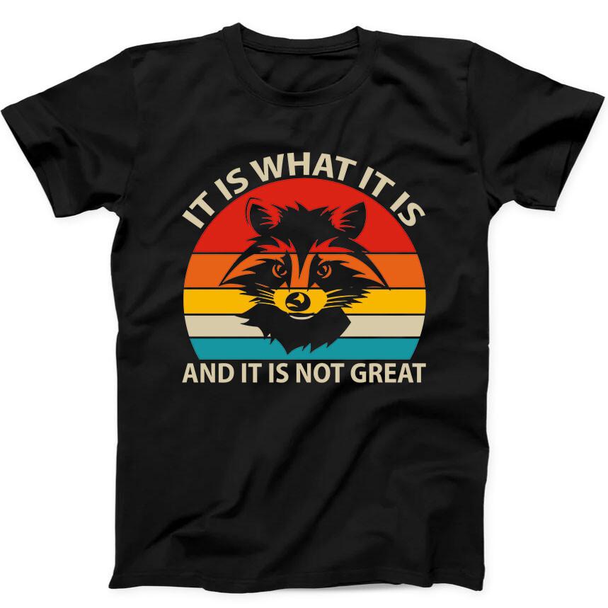 It Is What It Is And It's Not Great Raccoon Funny Gift Black T Shirt 243