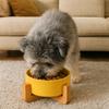 Anti-Overturn Pet Feeding Bowl No Spill Slow Feeder Bowl Steady Ceramic Cat Bowl  Pet Feeding