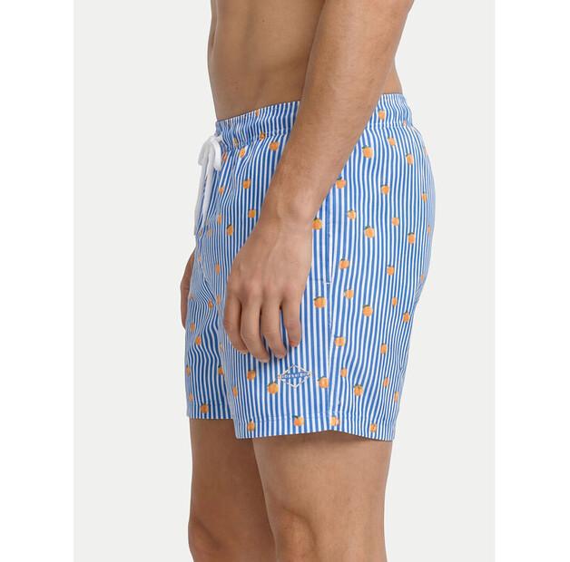 Шорты пляжные Jack & Jones Maui Breeze