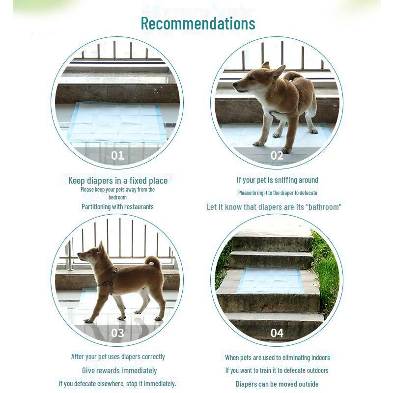 Verdickte Einweg-Urinpads für Hunde – desodorierend, atmungsaktiv und sehr saugfähig.