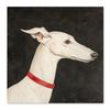 Canvas Painting White Greyhound Dog
