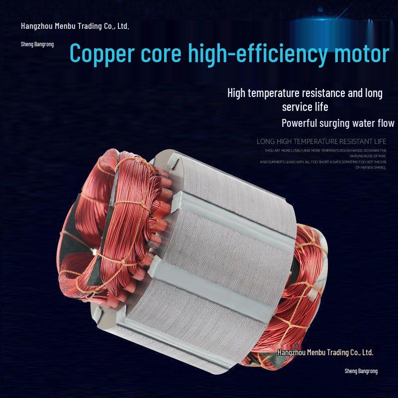 Pompe à eau submersible domestique haute puissance en acier inoxydable 220V pour usage agricole et d'eaux usées