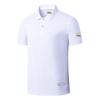 Men's Chinese Style Sportswear Set: Summer Quick-Dry Lapel Polo Shirt & Shorts