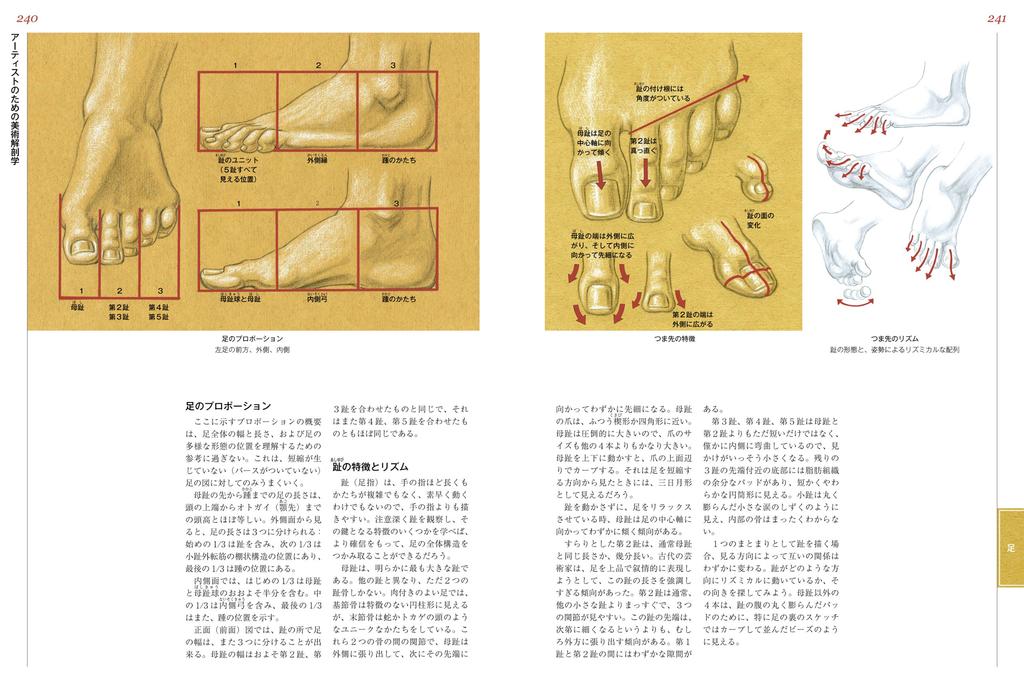 Artistic Anatomy for Artists