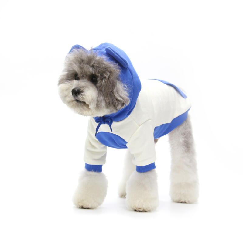 BEAR HOODIE-BLUE (Hood) L