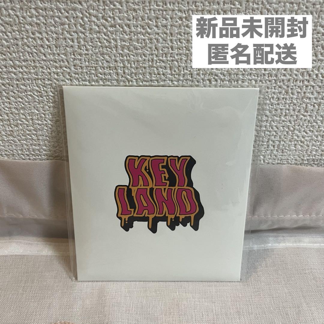 

[USED] SHINee key KEYLAND Polaroid Instax-style set