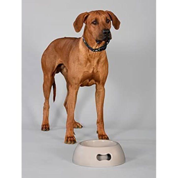 Bol pour Chien - UNITED PETS - Pappy - Plastique Recyclé - Antidérapant - 2200 ML