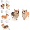 Realistic Corgi Dog Figure Pvc Static Model Toy For Animal Enthusiasts And Collectors