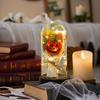 Pumpkin Dome Light LED Clear Cloche Pumpkin Night Light for Halloween Home Kitchen Tabletop Mantel Garden Poolside Decor