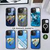 Berühmtes M-Malaga C-CF ART PATTERN Handyhülle Für iPhone17,16,15,14,13,12,11 Plus,Pro Magnetisch Für Magsafe Kabelloses Laden