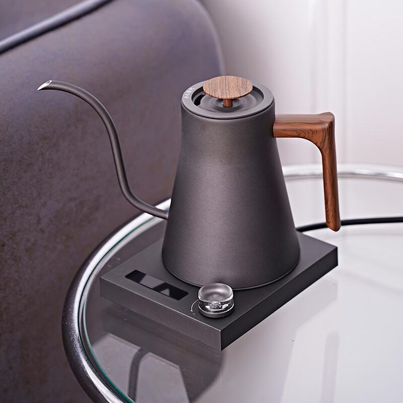 Smart Electric Gooseneck Kettle