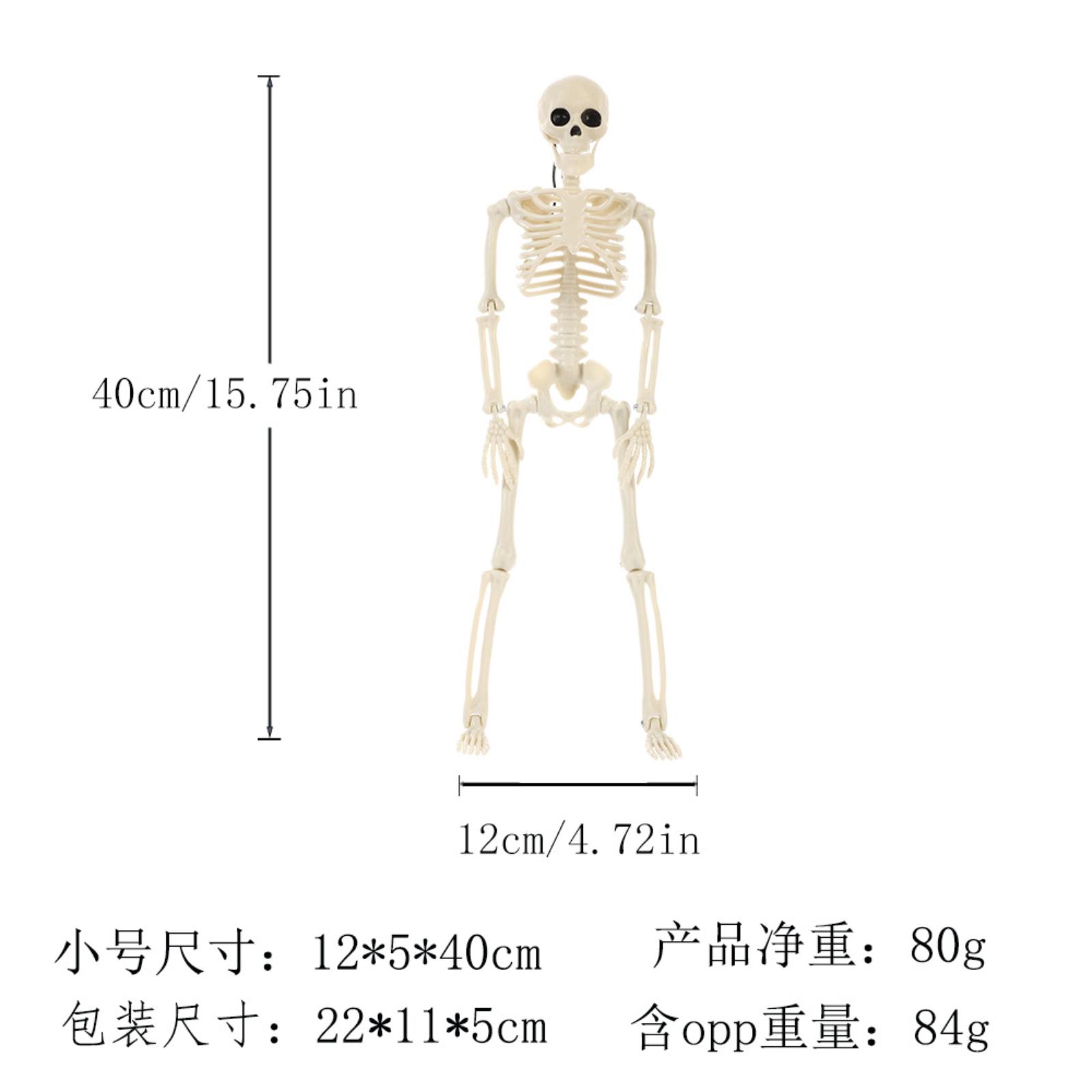 

Скелет Скелет человека Реалистичные человеческие кости Реквизит для украшения вечеринки в доме с привидениями Ужасающий скелет One Size