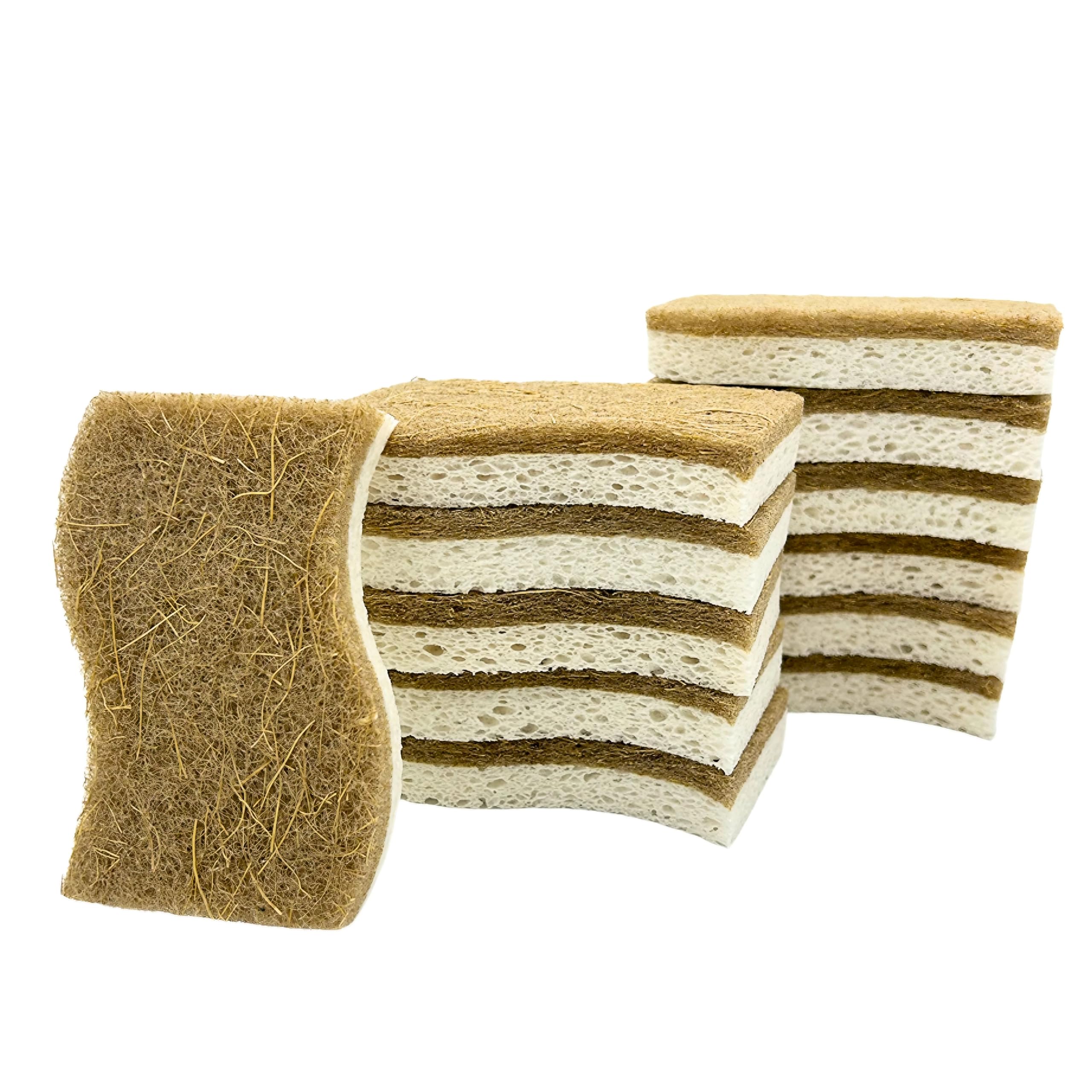 

East Leaf Kitchen Dishwashing Sponges, Biodegradable, Coconut-Derived, Eco-Friendly, Natural Materials, Durable, 12-Piece Set