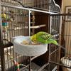 Round Bird Food Bowl Station Pole Wear-Resistant Parrot Stone Bowl Stone Bird Feeder Dish  Aviary