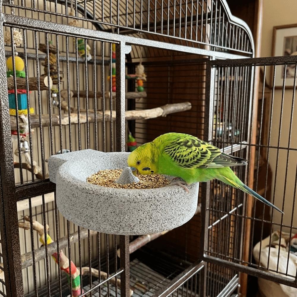 Round Bird Food Bowl Station Pole Wear-Resistant Parrot Stone Bowl Stone Bird Feeder Dish Aviary