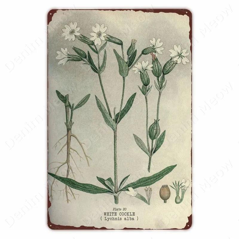 VegFruitVintageSign Vegetable Plants Retro Poster - Fruits/Cauliflower Vintage Metal Tin Sign, Garden/Kitchen Farm Wall Decor