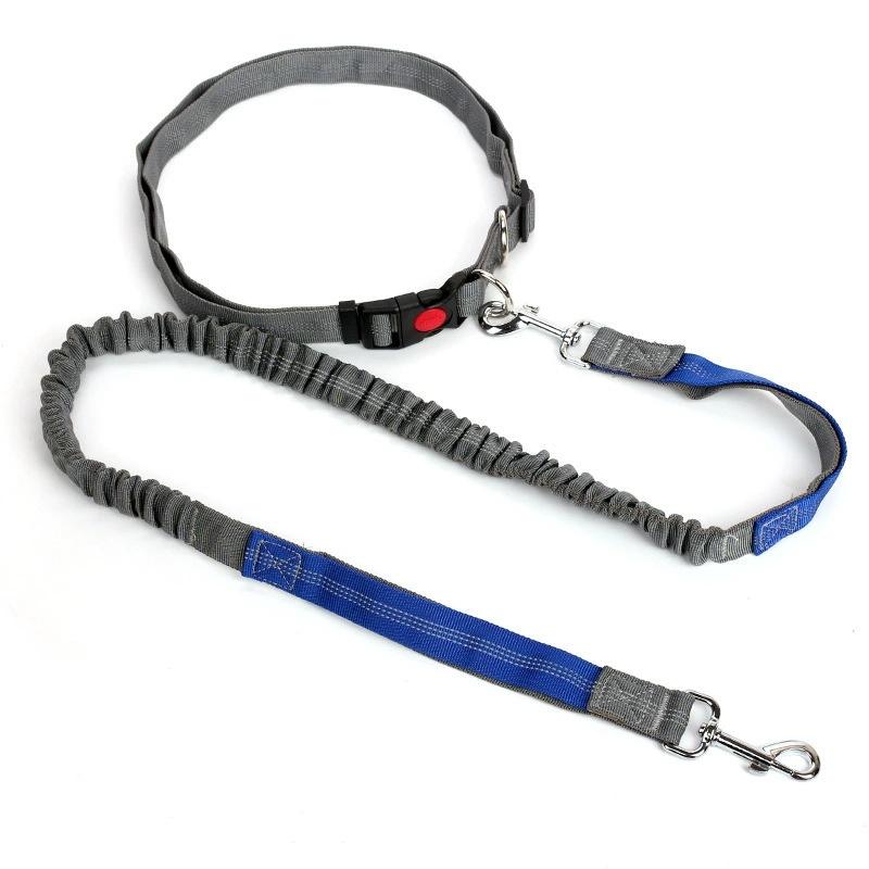 Adjustable Retractable Dog Leash Multi-functional Sports Traction Rope Hands-free Running Reflective Bungee Design
