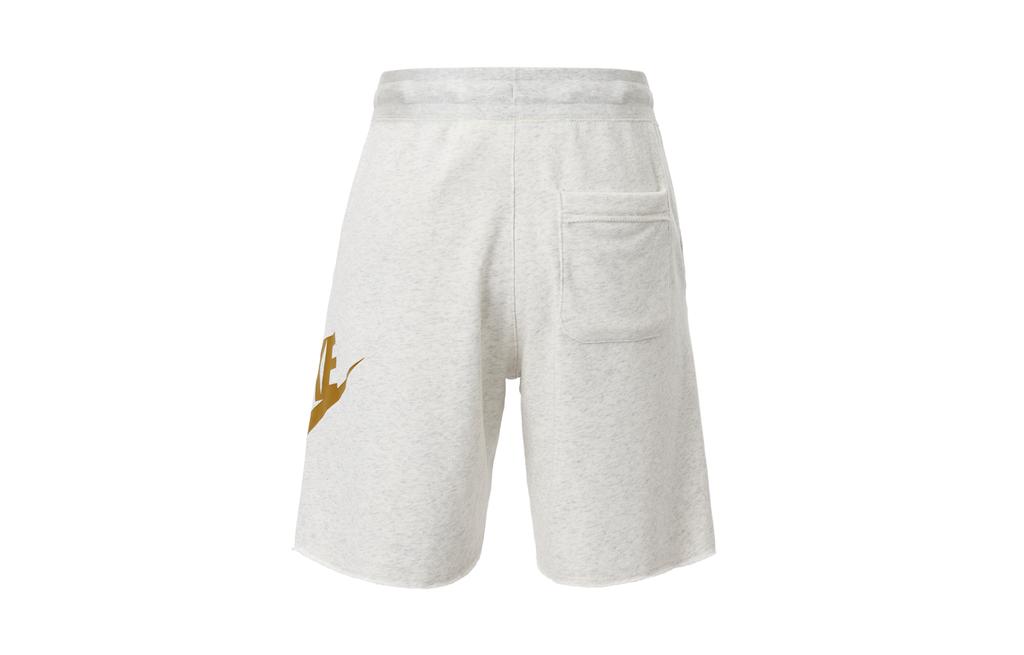 Nike Sportswear Casual Shorts Men's Color Oats AR2376-142