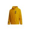 Jacken Herren Gold Kapuzenpullover Moderat Sonstige GF3968