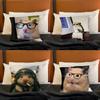 Cute Animal Hamster Throw Pillow Case For Decoration 30cm 50cm 55cm Square Home Pillowcase Case