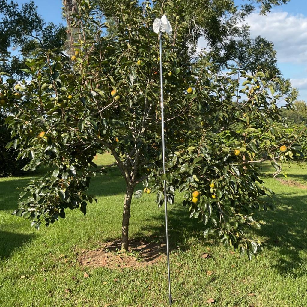 Telescopic Fruit Collection Tool Adjustable 3.3ft To 13ft Handle With Durable Stainless Steel Head For Gathering Apples Pears Oranges In Gardens