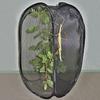 Collapsible Insect Cage Foldable Polyester Perfect Incubator Butterfly Cage for Home