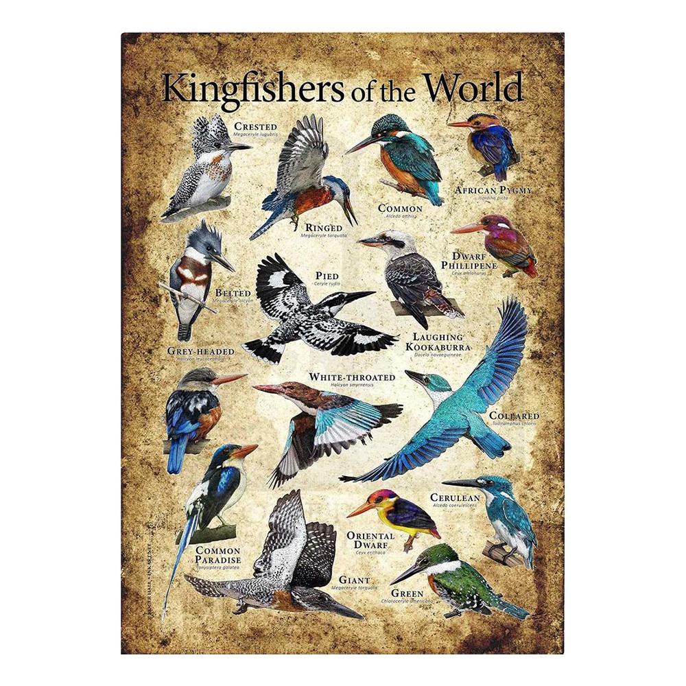 Abstrakt HD-tryck Fjäril Groda Fåglar Haj Marina Djur Collage Poster Canvas Målning Vintage Väggkonst För Barn Sovrum Heminredning