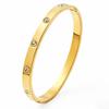 Popular Stainless Steel Bracelet Zircon Titanium Steel Bracelet Women's Fashion High-end Bracelet Temperament Niche Jewelry