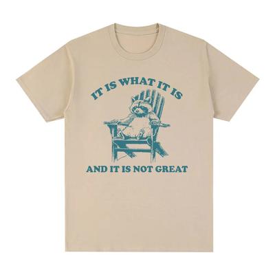 It Is What It Is and It Is Not Great Raccoon Meme T Shirt Funny Opossum T-shirt Men Women Vintage Fashion Short Sleeve T Shirts