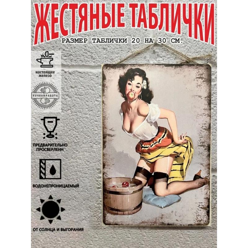 Pin-Up Girl Metal Sign, Retro Wall Art Decor