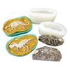 Stereoscopic Dinosaur Fossils Silica Gel Mold Make Scented Figure Candles Wax Table Ornament Soap Pendant Bachelor Party