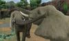 Animal Build a 3DS Resort Let's Zoo!! -