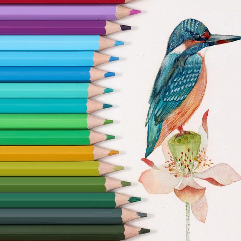1 Set Oil-based Stationery Pencil 12/18/24/36/48 Colors Color Pencils Painting Pencil Set  Prize