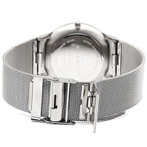Skagen Unisex Titanium Watch 233XLTTN