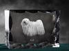 Puli, Hungarian Water Dog – Crystal with a picture of a dog, glass statuette with a picture | Art-Dog
