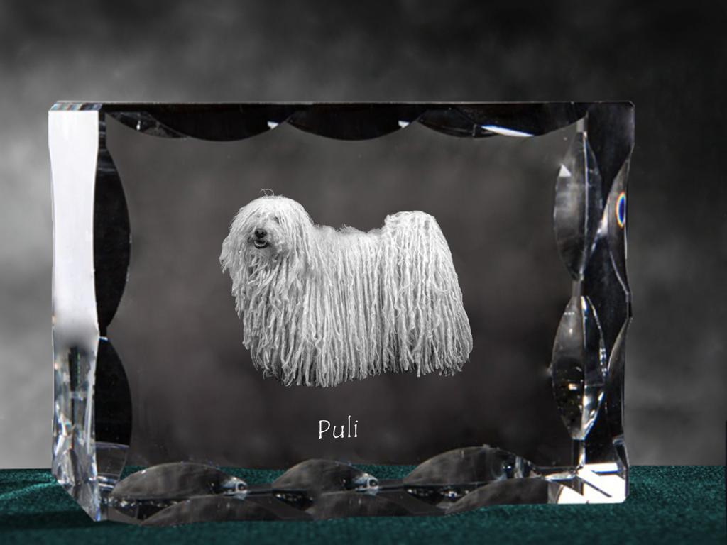 Puli, Hungarian Water Dog – Crystal with a picture of a dog, glass statuette with a picture | Art-Dog