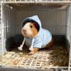 1PC Warm Winter Hamster Sweatshirt Soft Drawstring Hooded Pet Sweatshirt for Small Animals Pet Hamsters Pullover Cosplay Clothes