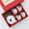 Chinese Ceramic Side Handle Teapot Set with 4 Cups - Gift Box
