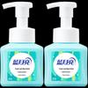 Blue Moon Antibacterial Foam Hand Soap - Fresh Fruit Mint (2x255ml)