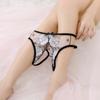 Sexy Lingerie Women's Underwear Embroidered Hollow Mesh Seductive Thong Panties Underpants G Strings Crotchless Bandage Underwear Lingerie for Women