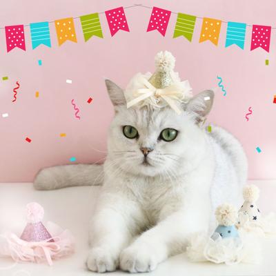 Pet Cat Hat Bow-knot Design Vibrant Color Friendly To Skin Ultra-Light Lace Trim