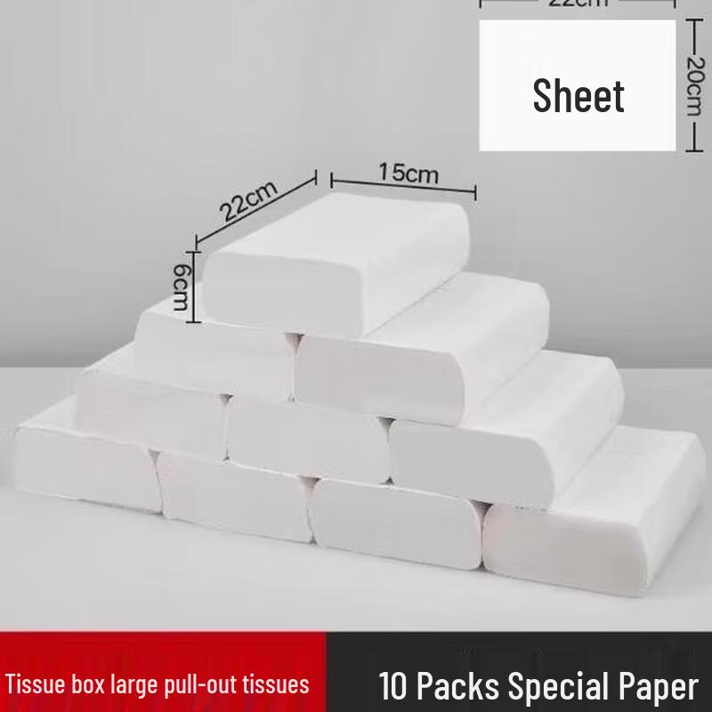 Wall-Mounted Tissue Holder with Hook